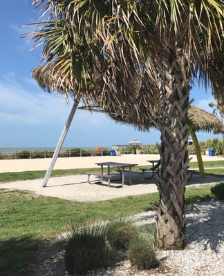 Picnic-Areas-at-Crescent-Beach-Park-Fort-Myers-Beach-Life