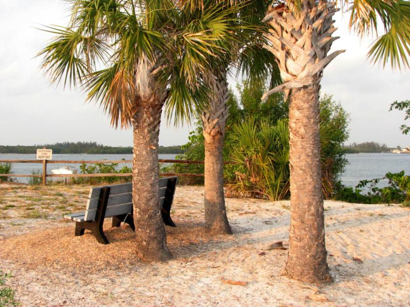 bowditch point park-fort myers beach park benches