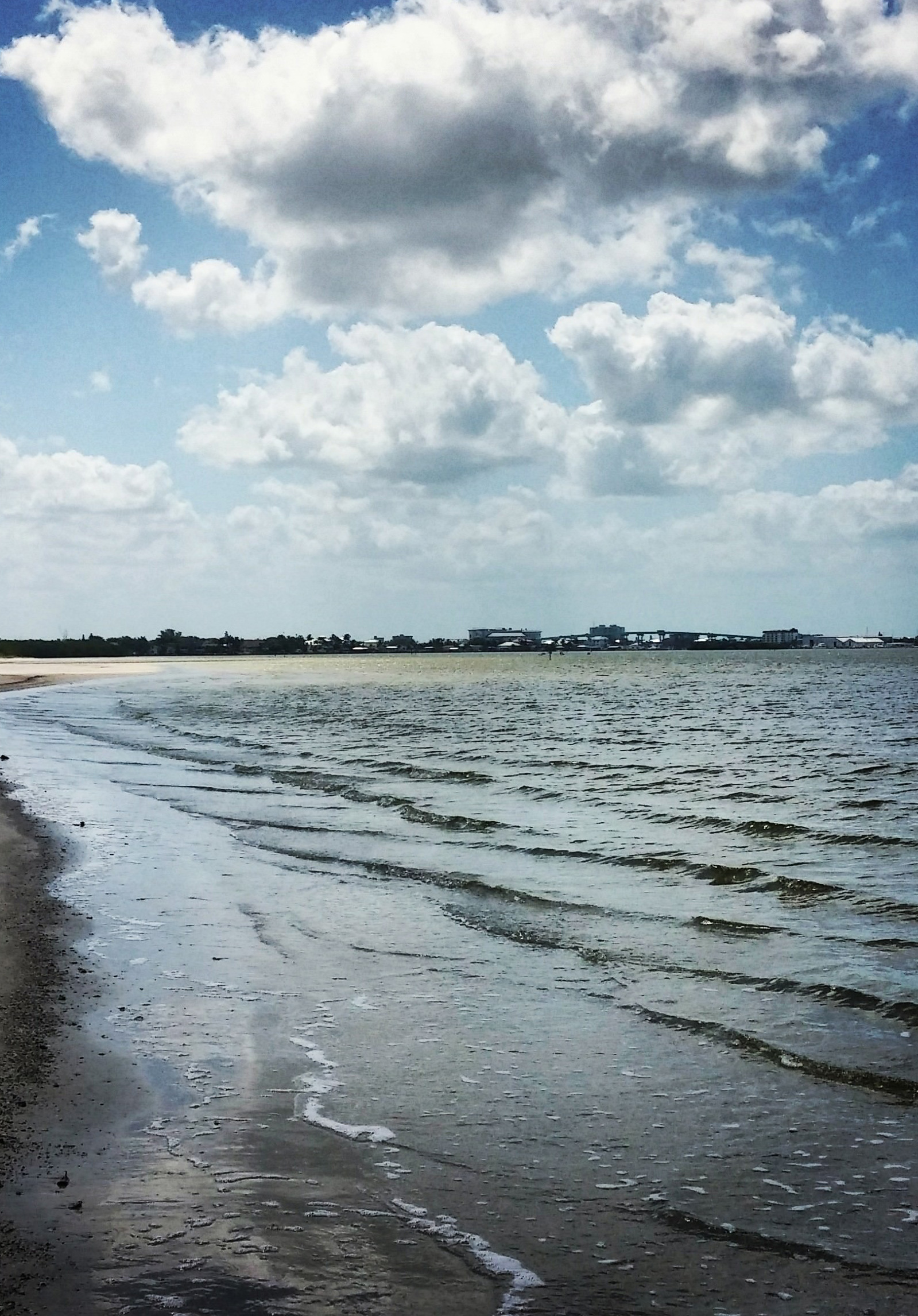 bunche-beach-shoreline-fort-myers-beach-life