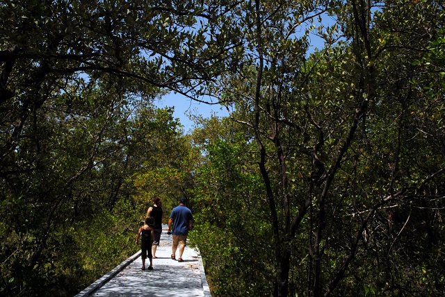 fort myers beach-matanzas pass preserve-walks