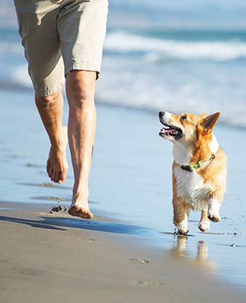 love-pets-pet-friendly-on-fort-myers-beach-photo-of-man-running-on-the-beach-with-his-dog