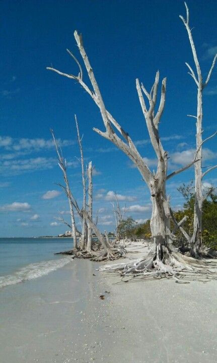 lovers key state park map - 54 best Bonita Springs images on Pinterest