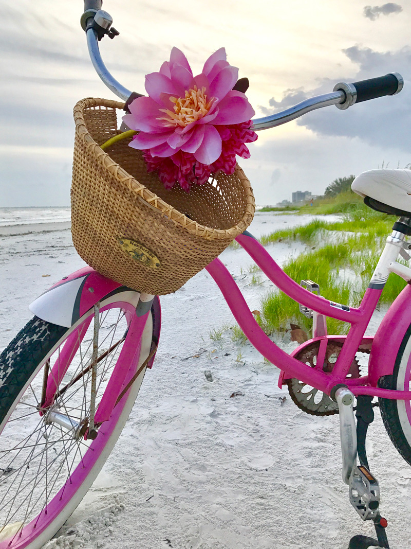 bike rentals-fort myers beach-pink-bike-with-basket-fort-myers-beach-life