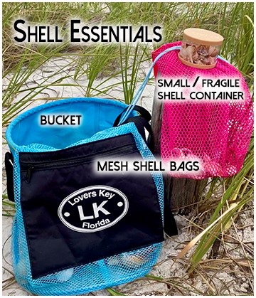 shelling essentials-fort myers beach life