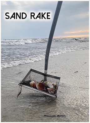 sand rake-shelling with sandy-fort myers beach life