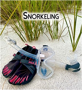 snokeling-shelling with sandy-fortmyers beach life