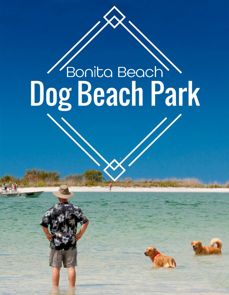 bonita-beach-dog-beach-park